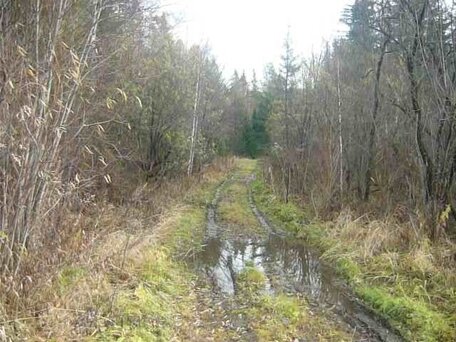 2000 УАЗ 3962, серый, 373000 рублей, вид 4