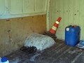 2010 ГАЗ ГАЗель (2705), оранжевый, 650000 рублей - вид 10