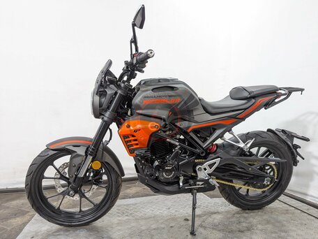 2026 Regulmoto T-Leopard 300, красный, 237000 рублей, вид 2