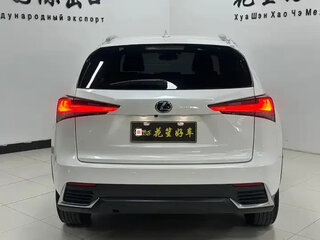 2020 Lexus NX 200 I Рестайлинг, белый, 2824000 рублей, вид 5