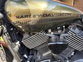 2017 Harley-Davidson Street Rod, зелёный, 520000 рублей - вид 10