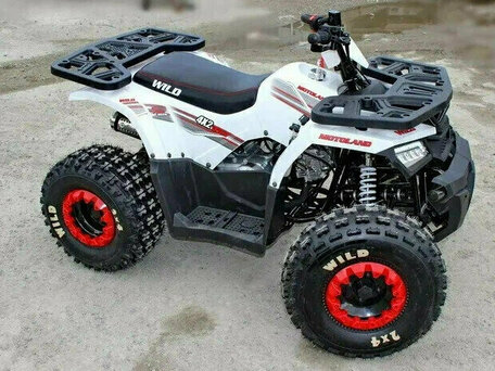 2026 Motoland Wild 125, чёрный, 118500 рублей, вид 1