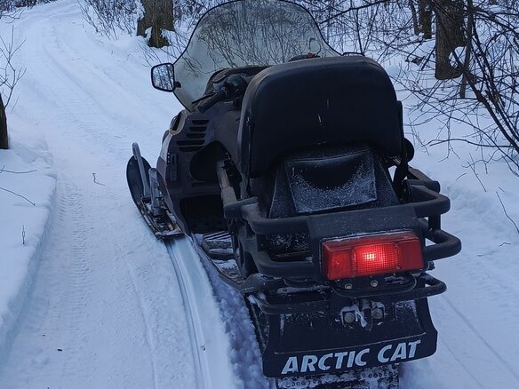 2003 Arctic Cat Pantera, коричневый, 630000 рублей - вид 6