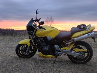 2003 Honda CB 900F Hornet, жёлтый, 437000 рублей, вид 4