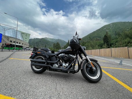 2013 Harley-Davidson Fat Boy, коричневый, 1700000 рублей, вид 3
