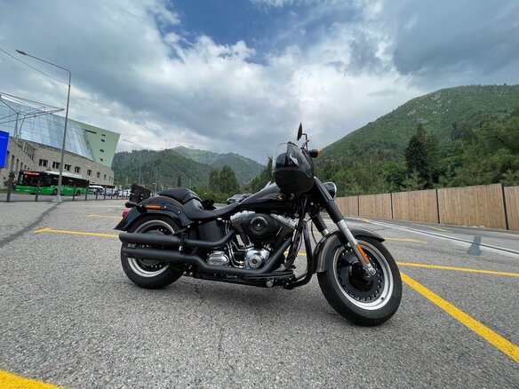 2013 Harley-Davidson Fat Boy, коричневый, 1700000 рублей - вид 2