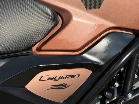2025 Racer Caiman, коричневый, 160000 рублей, вид 3