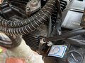 2022 BSE PH 150, белый, 100000 рублей - вид 7