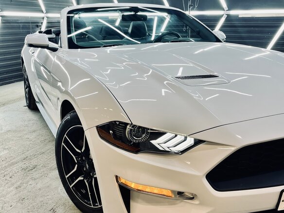 2017 Ford Mustang VI Рестайлинг, белый, 2250000 рублей - вид 5