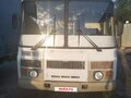 2014 ПАЗ 32053-20, белый, 330000 рублей - вид 2