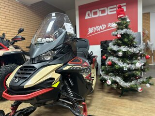 2025 AODES (Odes) Snowcross 1000, бежевый, 999000 рублей, вид 3