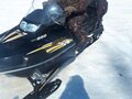 2009 BRP Ski-Doo Skandic 600, чёрный, 750000 рублей - вид 1
