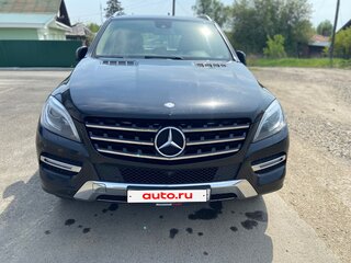 2014 Mercedes-Benz M-Класс 300 III (W166), чёрный, 2500000 рублей, вид 2