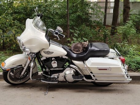 2003 Harley-Davidson Electra Glide, белый, 750000 рублей, вид 1