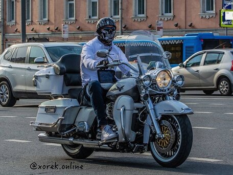 2009 Harley-Davidson Road King, белый, 1300000 рублей, вид 4