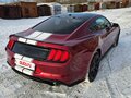 2018 Ford Mustang VI Рестайлинг, красный, 2800000 рублей - вид 5