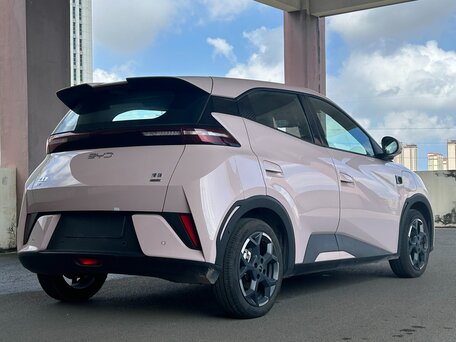 2025 BYD Seagull 38.88 kWh I Рестайлинг, розовый, 1825000 рублей, вид 5