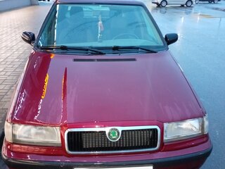 1998 Skoda Felicia I Рестайлинг, красный, 200000 рублей, вид 1