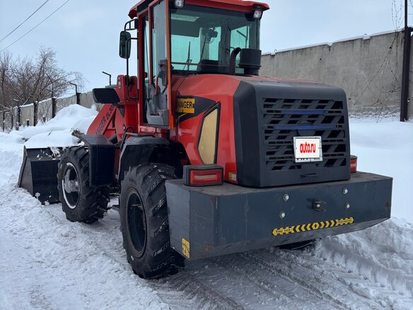 2021 Ranger ZL30M, 1500000 рублей - вид 7