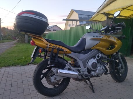 1999 Yamaha TDM850, золотистый, 280000 рублей, вид 4
