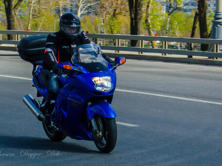 1999 Honda CBR 1100 XX, синий, 450000 рублей, вид 4