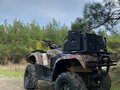 2012 Arctic Cat 650 Series, коричневый, 349000 рублей - вид 5