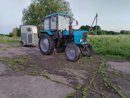 1995 МТЗ (BELARUS) 80, 299000 рублей, вид 1