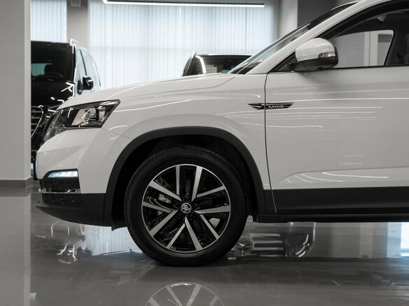2025 Skoda Kamiq I (China Market), белый, 2900000 рублей - вид 19