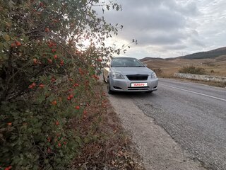 2003 Toyota Corolla Runx IX (E120, E130), серебристый, 480000 рублей, вид 3
