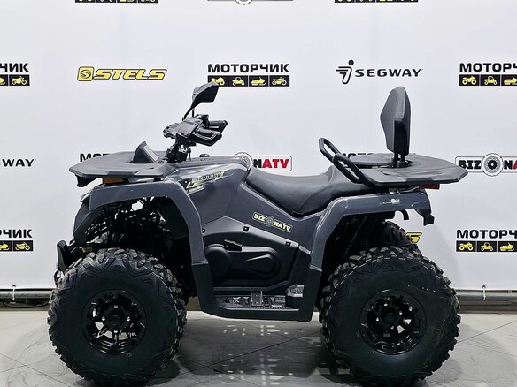 2025 Bison 250U, серый - вид 1