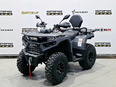 2025 Bison 250U, серый, 309900 рублей, вид 1