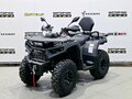 2025 Bison 250U, серый