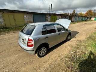 2007 Skoda Fabia I Рестайлинг, серебристый, 299000 рублей, вид 2