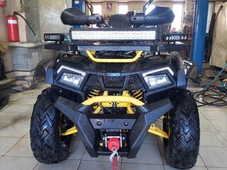 2024 Motoland Wild Track 200 X Pro, серый, 235000 рублей, вид 1