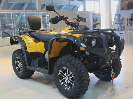 2025 Stels ATV-600YL Леопард, жёлтый, 641000 рублей, вид 1