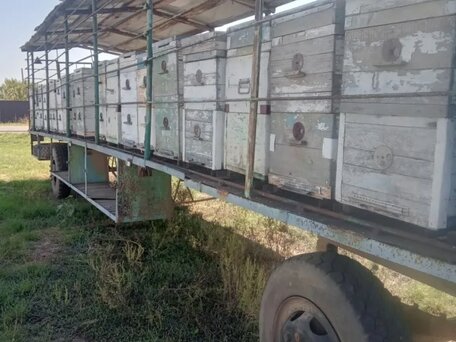 1990 ПромАгро Прицеп ПТ 2x5КВ, зелёный, 150000 рублей, вид 3