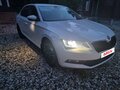 2017 Skoda Superb III, белый - вид 1