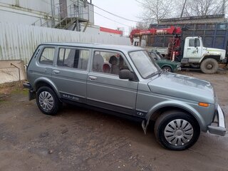 2010 Lada (ВАЗ) 2131 (4x4) Рысь I, серый, 350000 рублей, вид 4