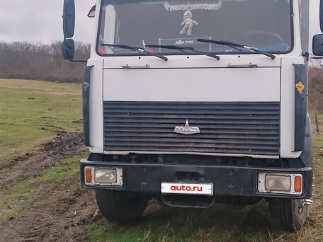 2008 МАЗ 5743, белый, 1300000 рублей, вид 3