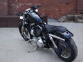 2003 Harley-Davidson Sportster 1200, чёрный - вид 10