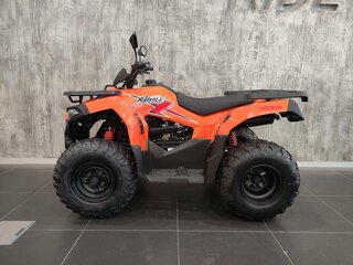 2026 Loncin XWolf 200, оранжевый, 279000 рублей, вид 2