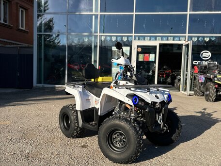 2023 Motax Grizlik 200, белый, 219000 рублей, вид 3