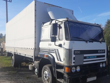 1992 DAF F-series, белый, 720000 рублей, вид 1