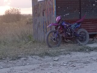 2026 Promax PHANTOM, фиолетовый, 115000 рублей, вид 2