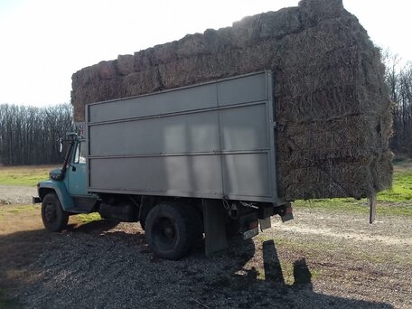 1994 ГАЗ 4301, голубой, 650000 рублей, вид 3