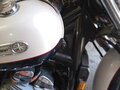 1995 Yamaha XVS1300, белый, 700000 рублей - вид 1