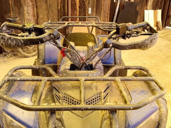 2017 Motoland ATV 150U, синий, 140000 рублей - вид 2
