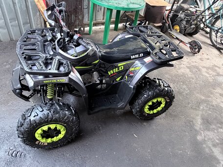 2021 Motoland ATV 150 Wild, серый, 85000 рублей, вид 5