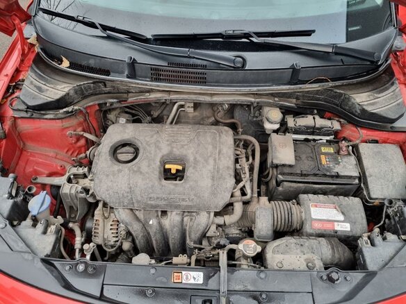2021 Kia Soul III, красный, 2060000 рублей - вид 7