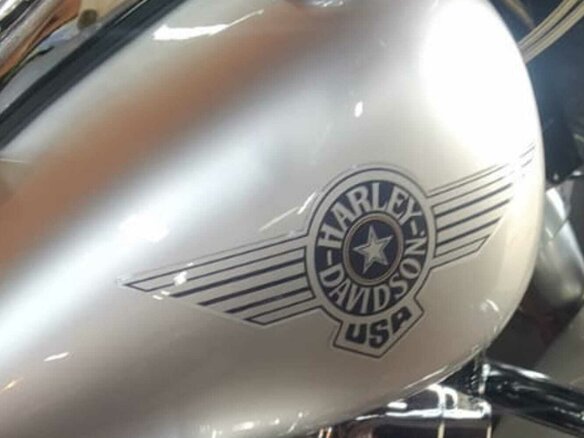2009 Harley-Davidson Fat Boy, серый, 870000 рублей - вид 28